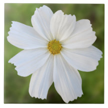 Kosmos-Keramik-Fliese