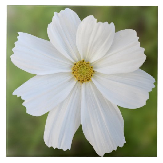 Kosmos-Keramik-Fliese Fliese (Vorderseite)