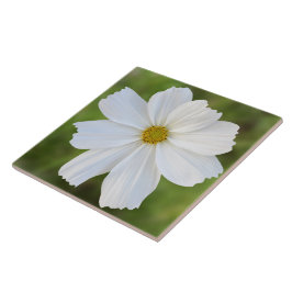 Kosmos-Keramik-Fliese Fliese