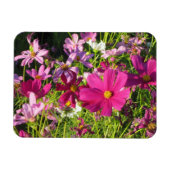 Kosmos Magnet (Horizontal)