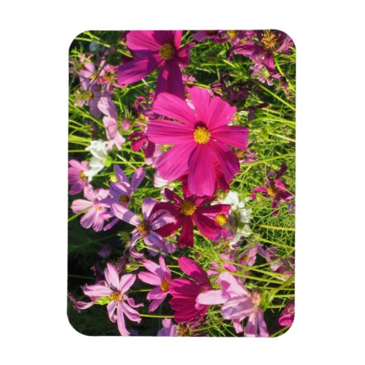 Kosmos Magnet (Vertikal)