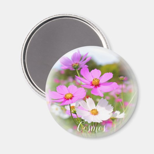 Kosmos Magnet (Vorderseite/Rückseite)