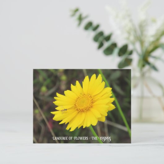 Kosmos mit Bienenpostkarte Postkarte (Stehend Vorderseite)