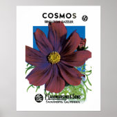 Kosmos Poster (Vorne)