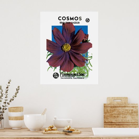 Kosmos Poster (Küche)