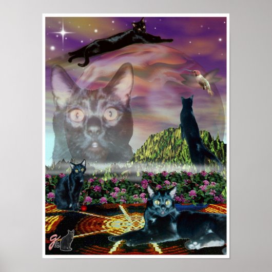 Kosmos Poster (Vorne)