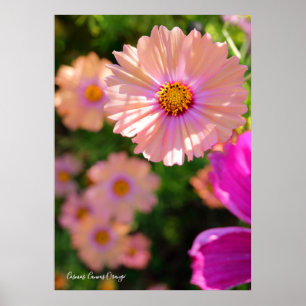 Kosmos [Poster] Poster