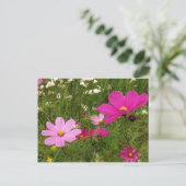 Kosmos Postkarte (Stehend Vorderseite)