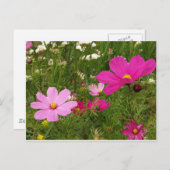 Kosmos Postkarte (Vorne/Hinten)