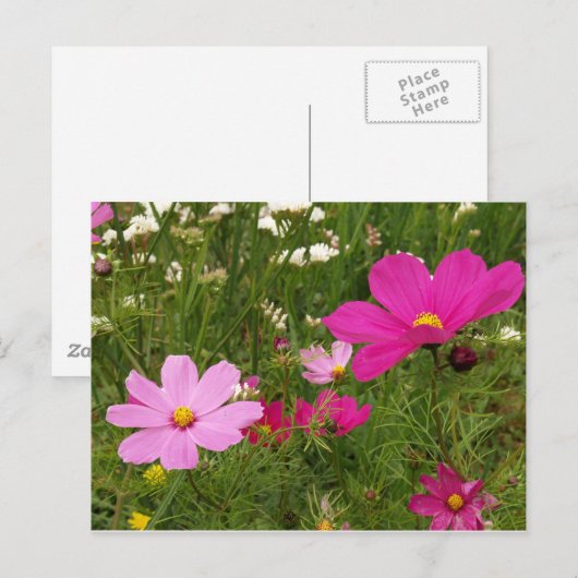 Kosmos Postkarte (Vorne/Hinten)