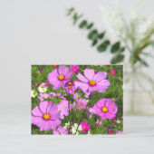 Kosmos [Postkarte] Postkarte (Stehend Vorderseite)