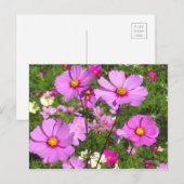 Kosmos [Postkarte] Postkarte (Vorne/Hinten)