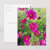 Kosmos-Postkarte Postkarte (Vorne/Hinten)