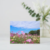 Kosmos [Postkarte] Postkarte (Stehend Vorderseite)