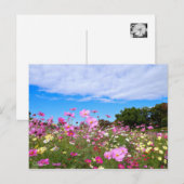 Kosmos [Postkarte] Postkarte (Vorne/Hinten)