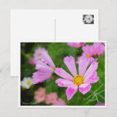 Kosmos [Postkarte] Postkarte (Vorne/Hinten)