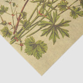 Kosmos Vintage Blume Rustikale Decoupage Seidenpapier (Ausschnitt)