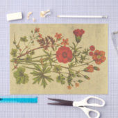 Kosmos Vintage Blume Rustikale Decoupage Seidenpapier (Handwerk)