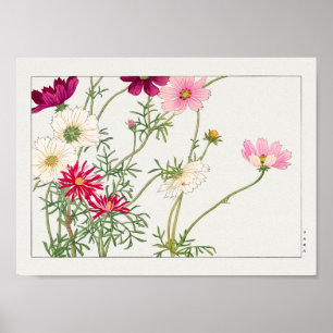 Kosmos von Tanigami Konan Poster