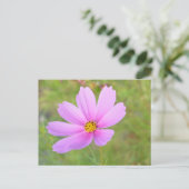Kosmosblume Postkarte (Stehend Vorderseite)