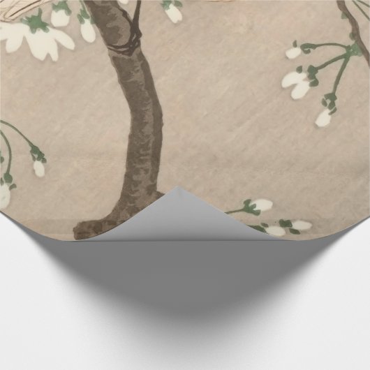 Koson Bird Chickadee Songbird Geschenkpapier (Ecke)
