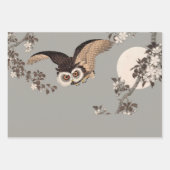 Koson Bird Chickadee Songbird Geschenkpapier Set (Vorderseite 3)