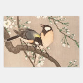 Koson Bird Chickadee Songbird Geschenkpapier Set (Vorderseite)