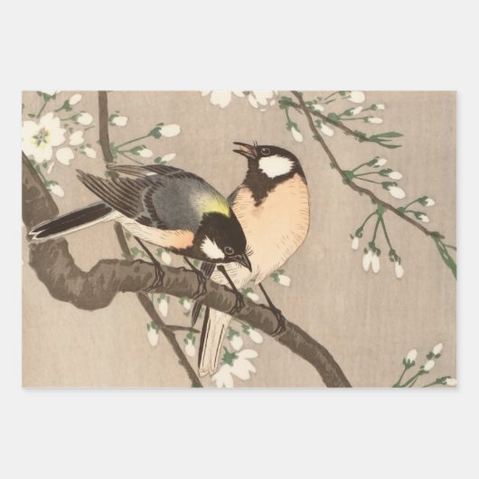 Koson Bird Chickadee Songbird Geschenkpapier Set (Vorderseite)