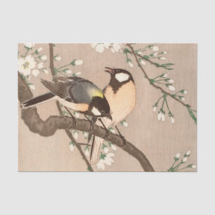Koson Bird Chickadee Songbird Seidenpapier