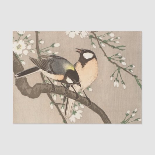 Koson Bird Chickadee Songbird Seidenpapier (Vorderseite)