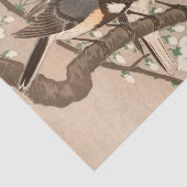 Koson Bird Chickadee Songbird Seidenpapier (Ausschnitt)