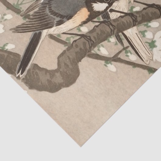 Koson Bird Chickadee Songbird Seidenpapier (Ausschnitt)