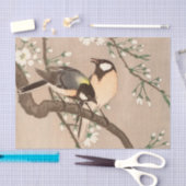 Koson Bird Chickadee Songbird Seidenpapier (Handwerk)