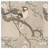 Koson Bird Chickadee Songbird Stoff (Nahaufnahme)