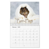Kostbare Kätzchen & herzerwärmende Redewendungen W Kalender (Feb 2027)