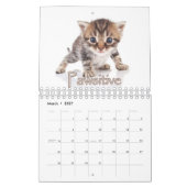 Kostbare Kätzchen & herzerwärmende Redewendungen W Kalender (Mär 2027)