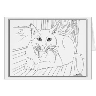 Kostbare Katze im Fenster