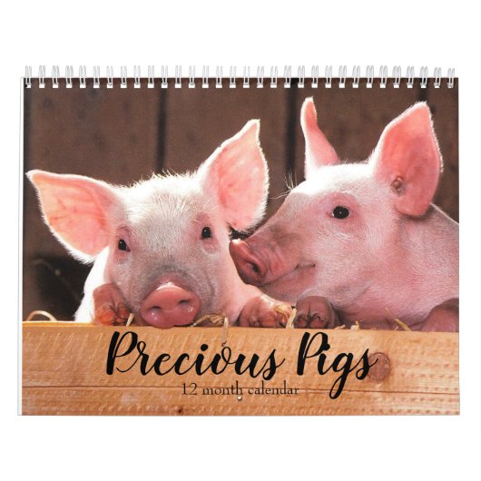 Kostbare Schweine 2027 Kalender (Titelbild)