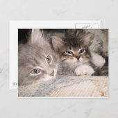 Kostbare Tierpostkarten Postkarte (Vorne/Hinten)