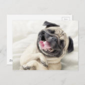 Kostbares Lächeln des Mops Postkarte (Vorne/Hinten)