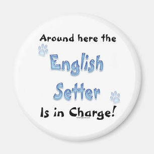 Kosten für die englische Setter - Magnet