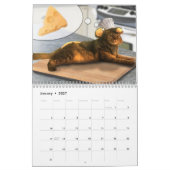 Kostengründe Katzen - Kalender 2020 (Jan 2027)