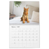 Kostengründe Katzen - Kalender 2020 (Feb 2027)