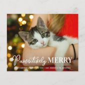 Kostengünstig, einfach und individuell auf die Kat (Vorderseite)