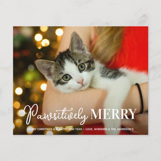 Kostengünstig, einfach und individuell auf die Kat (Vorderseite)