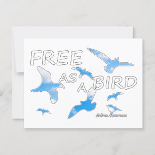 Kostenlos als Vogel 2 Postkarte