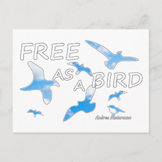 Kostenlos als Vogel 2 Postkarte (Vorderseite)