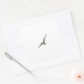 KOSTENLOSE BIRD QUADRATISCHER AUFKLEBER (Umschlag)