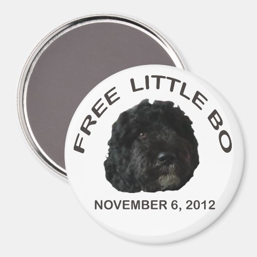 KOSTENLOSE BO Magnet (Vorderseite/Rückseite)