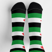 KOSTENLOSE PALESTINE PALESTINE FLAG SOCKEN (Oben)